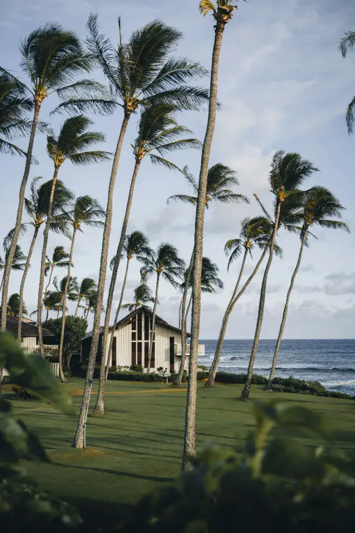 Sell My House Fast in Hawaii Cash or Terms